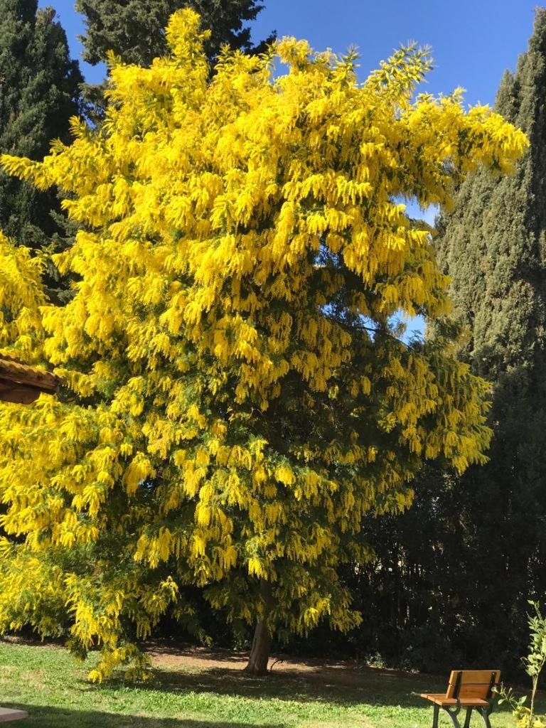Agriturismo Podere Giulio Tarquinia Bagian luar foto