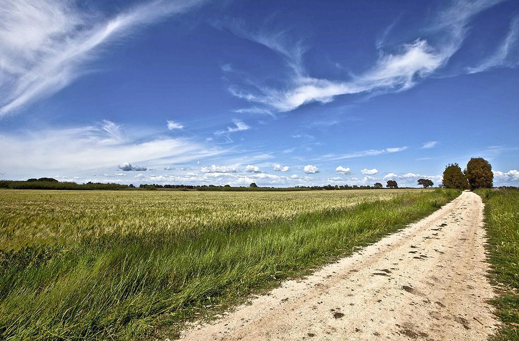 Agriturismo Podere Giulio Tarquinia Bagian luar foto